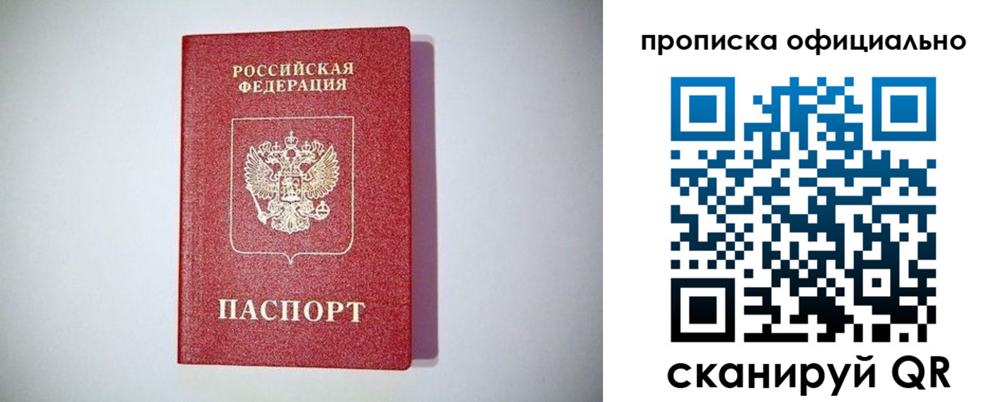 прописка в Алексине